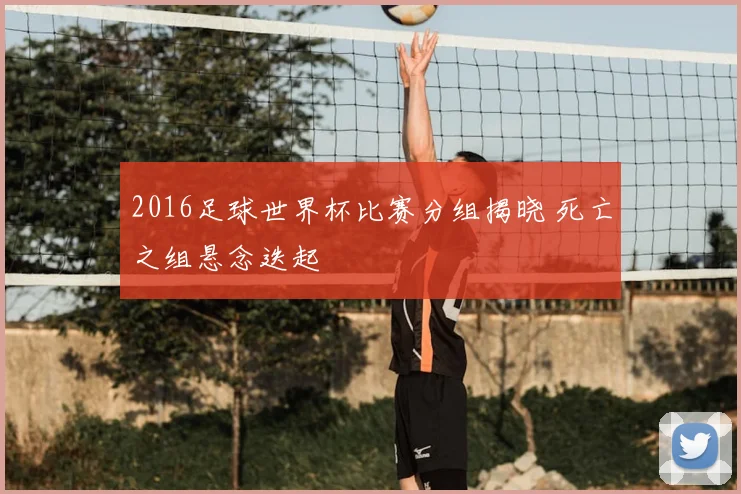 2016足球世界杯比赛分组揭晓 死亡之组悬念迭起