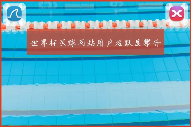 世界杯买球网站用户活跃度攀升